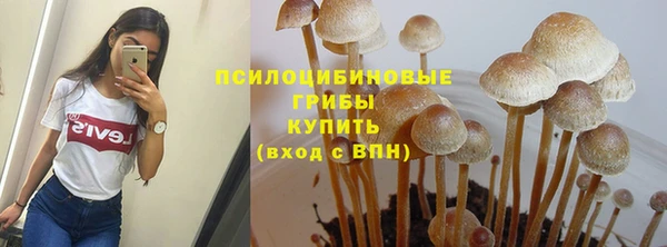 spice Абдулино