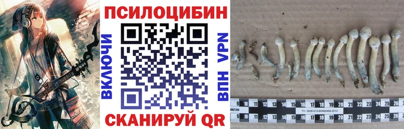 darknet клад  Лангепас  Псилоцибиновые грибы ЛСД 